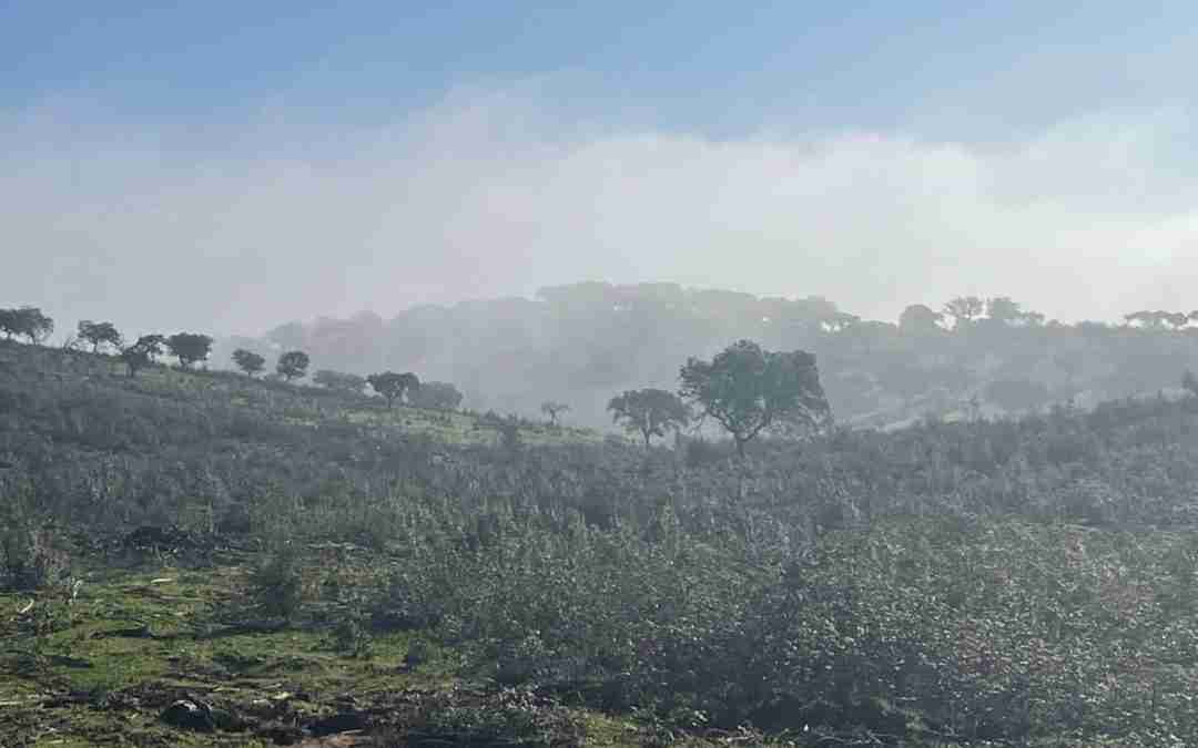 A Iniciar a Construção do Primeiro Habitat