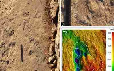 Prehistoric Elephants in Spain
