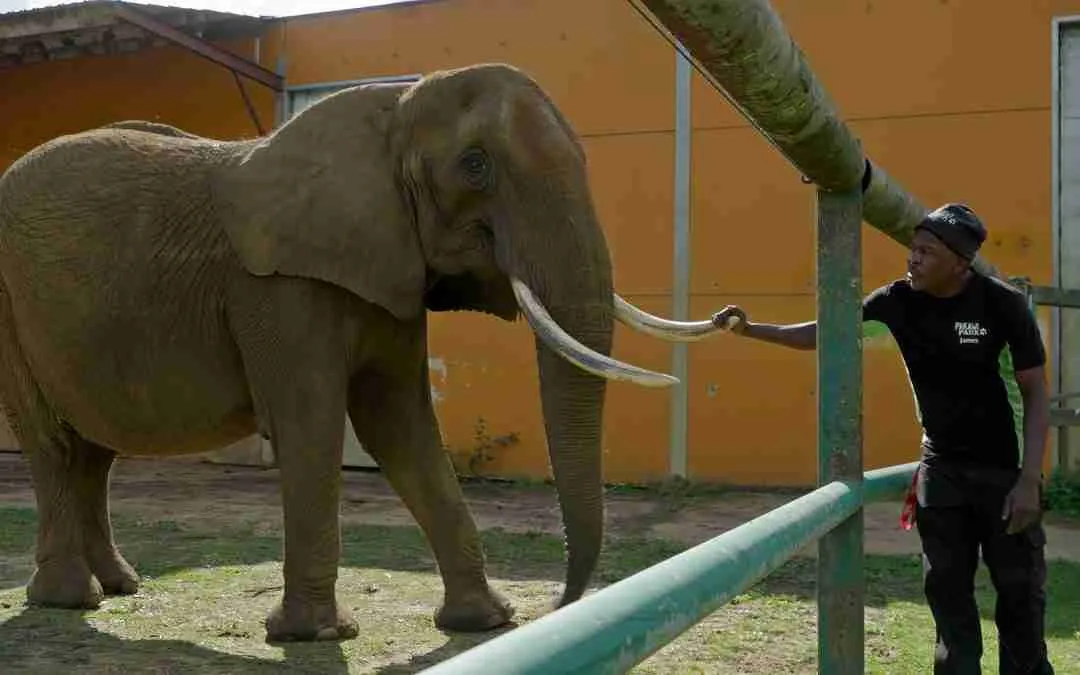 Kariba Health Update III