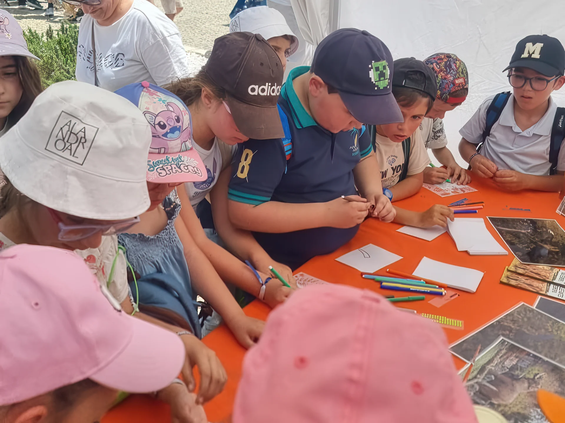 Convida Fair