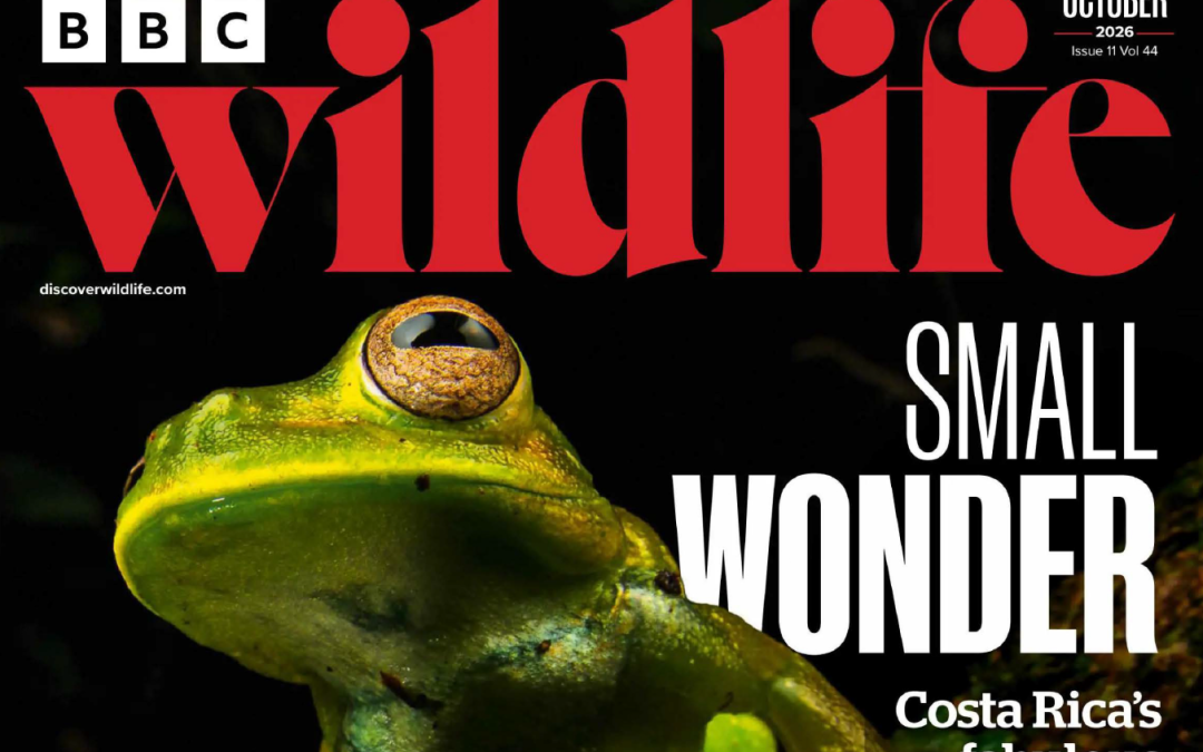 Pangea Featured in BBC Wildlife Magazine