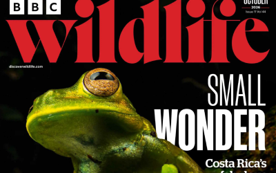 Pangea Featured in BBC Wildlife Magazine